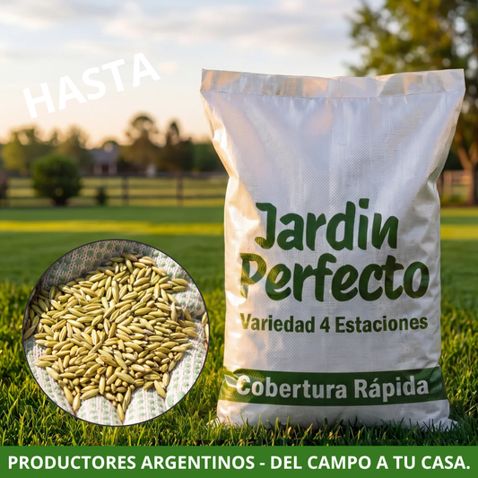 Compra Mayorista 400KG