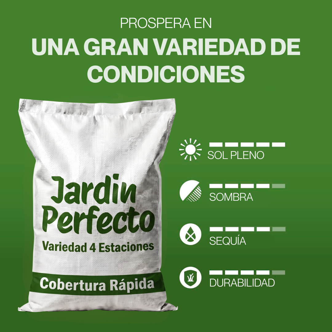 Semillas Césped Siempre Verde 4 Estaciones (Cobertura Rápida)