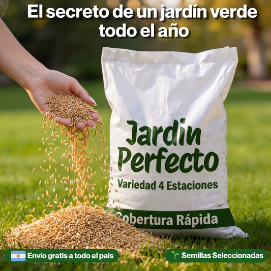 Semillas Césped Siempre Verde 4 Estaciones (Cobertura Rápida)